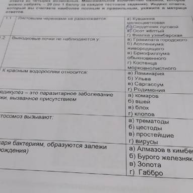 Выводковые почки не наблюдаются у a) Гравилата городского б) Асплениума живородящего в) Бриофиллума