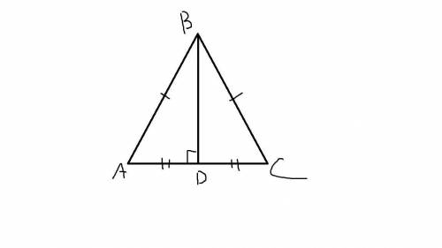 Периметр равнобедренного ∆ABC равен 60 дм. BD - его высота , опущенная на основание . Периметр ∆ABD