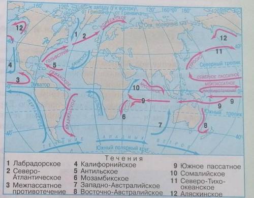 Какая существует закономерность распространения теплых и холодных течений у западных и восточных поб