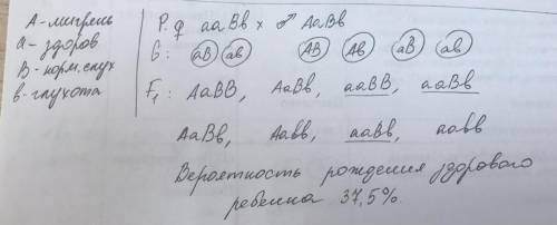 Дигібридне схрещування. Задача: Батько хворіє на мігрень (домінантна ознака), а мати здорова. У бать