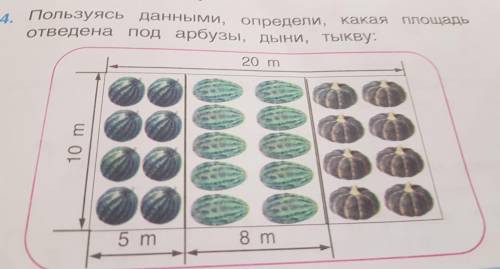 Пользуясь данными Определите Какая площадь отведена под арбузы дыни