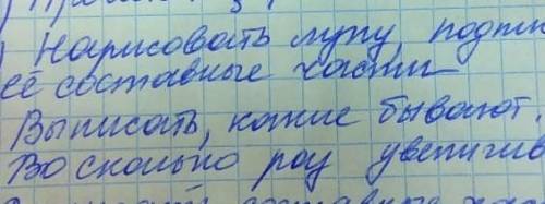 1)Нарисуйте лупу подпишите её основные части2)Выписать какие бывают во сколько раз увеличивают