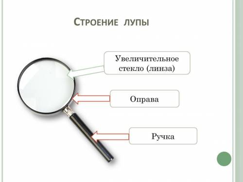 1)Нарисуйте лупу подпишите её основные части2)Выписать какие бывают во сколько раз увеличивают