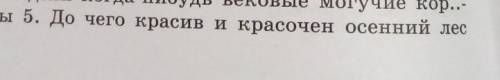 надо написать где определение где обстоятельство и где дополнение