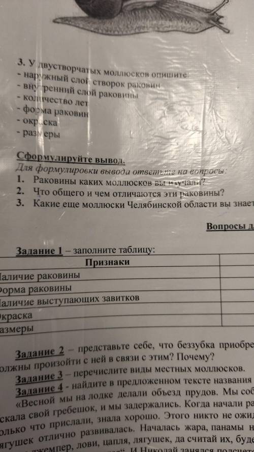 скоро сдавать. Это Лабораторная работа Нужно выполнить задание с моллюсками И задание где нужно сфо