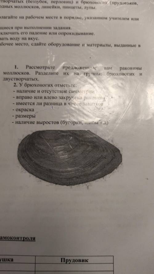 скоро сдавать. Это Лабораторная работа Нужно выполнить задание с моллюсками И задание где нужно сфо