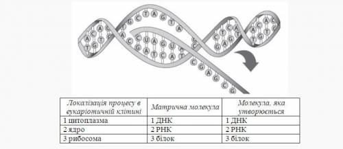 Задание 7 содержит три столбца информации, в каждом из которых она обозначена цифрами. Выберите из к