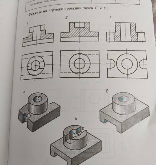 Черчение. Укажите на чертеже проекции точек C и D.