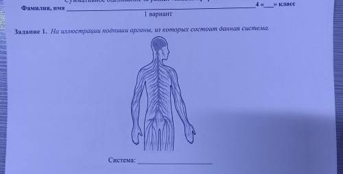 Вари Задание 1. На иллюстрации подпиши органы, из которых состоит данная система. Система: