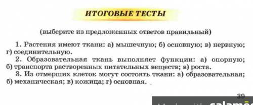 ответе . Внизу прикрепила. Буду благодарна за ответ.