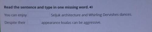 Read the sentence and type in one missing word. • You can enjoy Seljuk architecture and Whirling Der