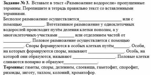 Вставьте в текст «Размножение водоросли» пропущенные термины.