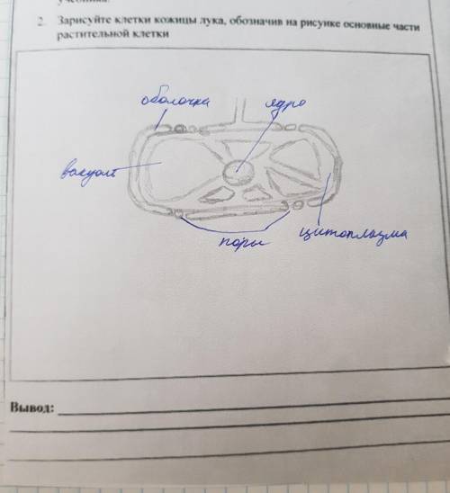 . не понимаю какой должен быть вывод.