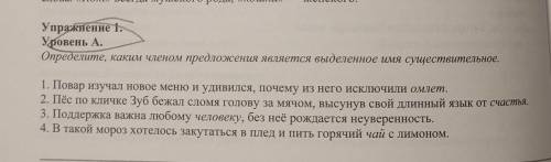 Упражнение 1. Уровень А. Определите, каким членом предложения является выделенное имя существительно