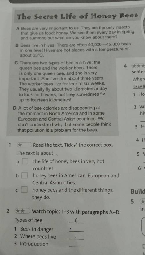 2. Match topics 1-3 with paragraphs A-D. Types of bee сделать ех2 (╥_╥)