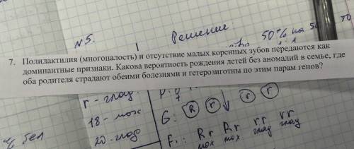 решите две генетические задачи. нужно подробно, понятно, по красоте в общем. do you best, ребят верю