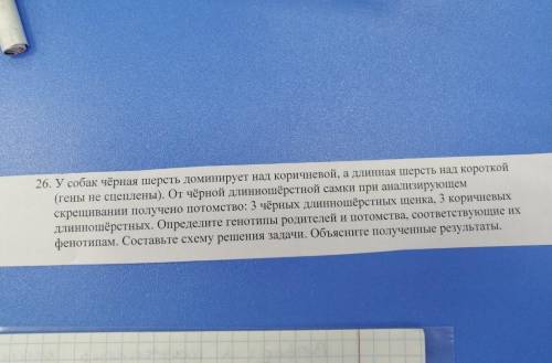 решите две генетические задачи. нужно подробно, понятно, по красоте в общем. do you best, ребят верю