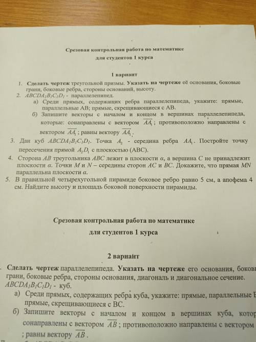 Срезовая контрольная работа, 10 класс, 1 вариант