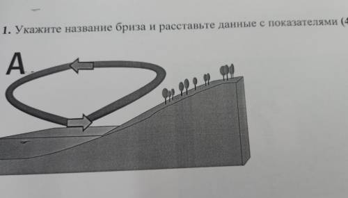 1. Укажите название бриза и расставьте данные с показателями ( ) А тоолт TY последовательности начин