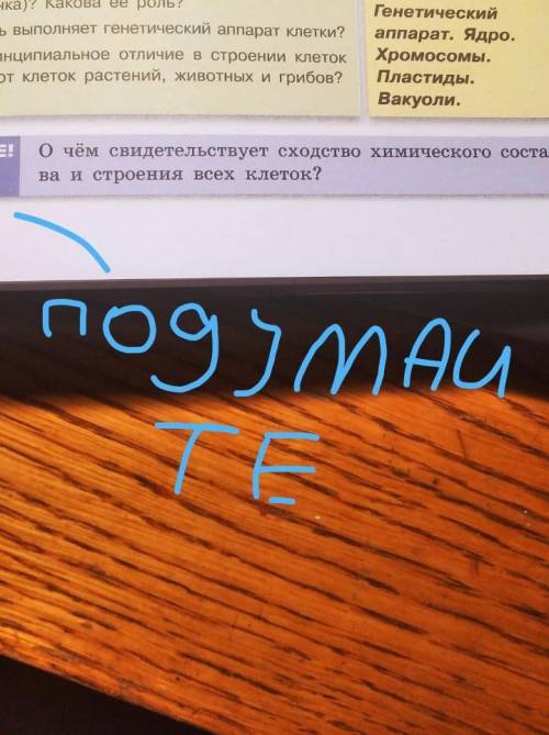 Help me, nogymaume я плахо знаю рускии