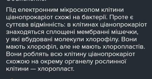 порівняння між ціанопрокаріотом і фотосинтезуючими водоростями! Будь ласка терміново! До потрібно 29