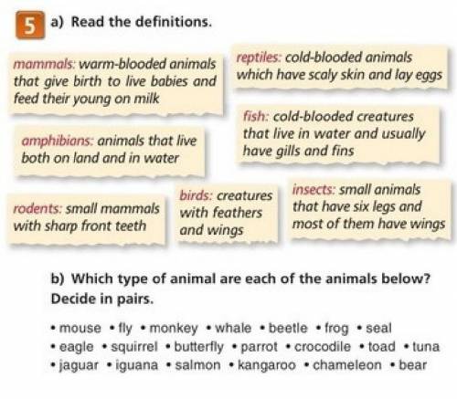 Which type of animal are each of the animals below? Decide in pairs. • mouse • fly • monkey • whale