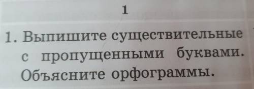 Выпишите существительное с пропущенными буквами.Обьесните огфограммы