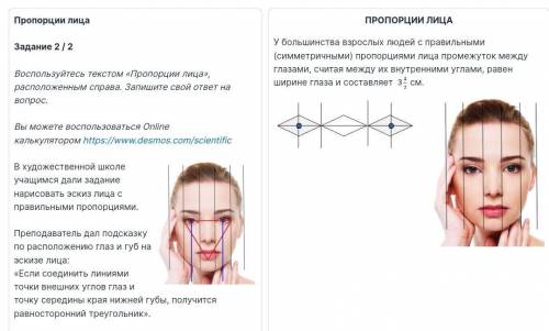 В художественной школе учащимся дали задание нарисовать эскиз лица с правильными пропорциями. Препод