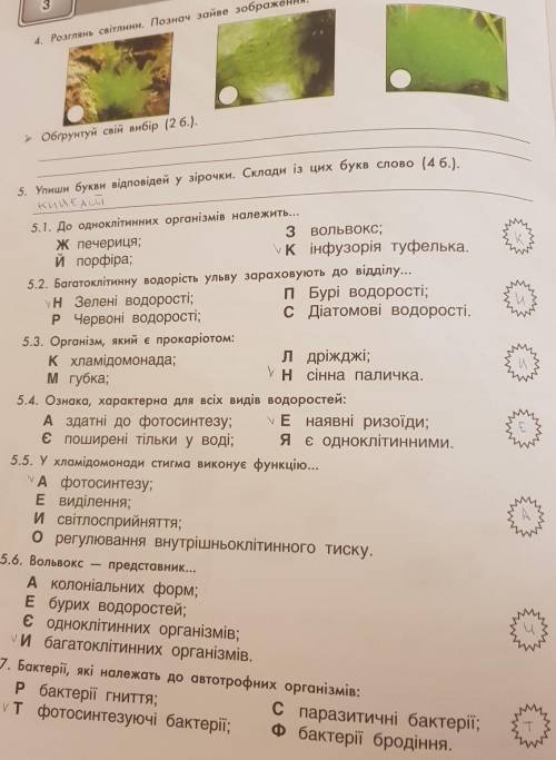 4. Розглянь світлини. Познач зайве зображення. 5. Упиши букви відповідей у зірочки. Склади із цих бу