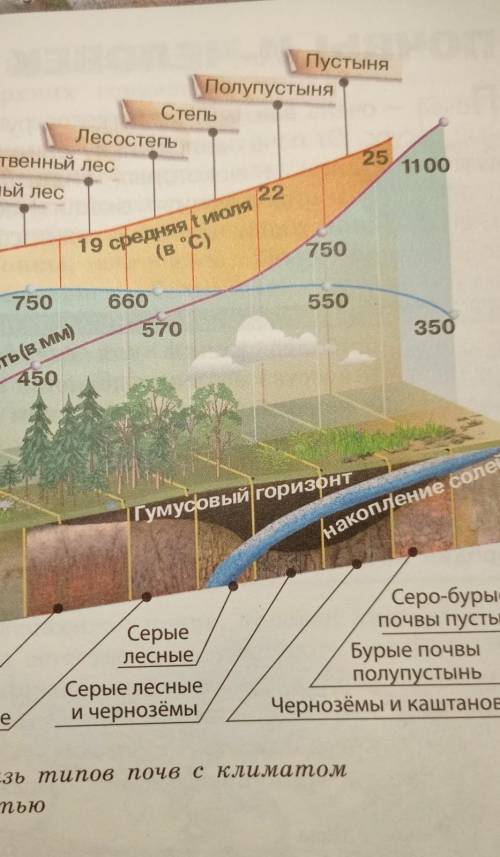 Определите годовое количество осадков и испаряемость полупустынь и пустынь по фото