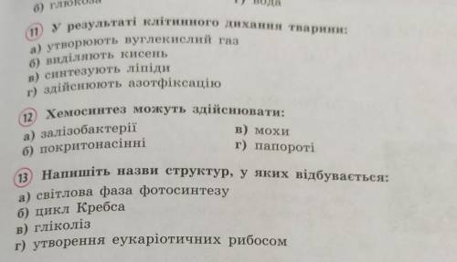 Узагальнюючі завдання до теми принципи функціонування