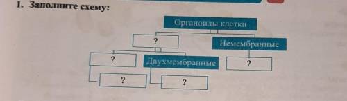 1. Заполните схему: Органоиды клетки ? Немембранные ? Двухмембранные ? ? ?