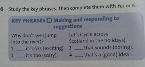 Study the key phrases. Then complete them with Yes or No