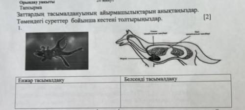 , биология 7 класс. перевела на русский. определить различия в переносе веществ. Заполните таблицу в