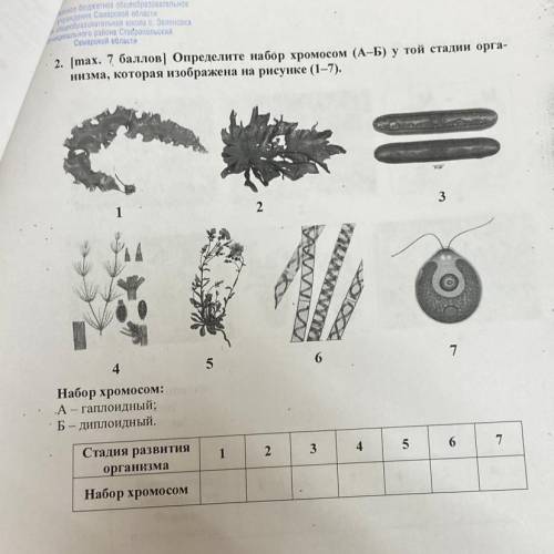 Определите набор хромосом (А-Б) у той стадии орга- низма, которая изображена на рисунке (1-7). 00 3