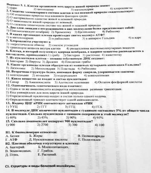 Напишите ТЕСТ по БИОЛОГИИ . Нужна оценка «5», т. к. какая оценка за тест, такая будет полугодовая (у