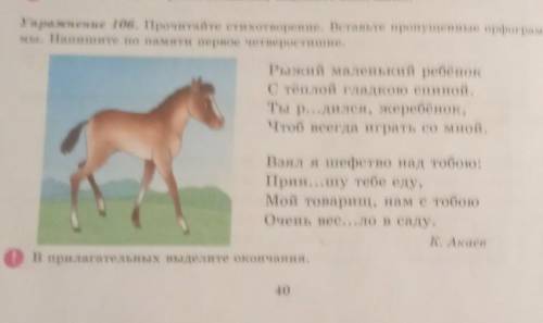 Упражнение 106. Прочитайте стихотворение. Вставьте пропущенные орфограм- мы. Напишите по памяти перв