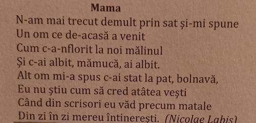 Subliniați predicatele în fiecare propoziție.