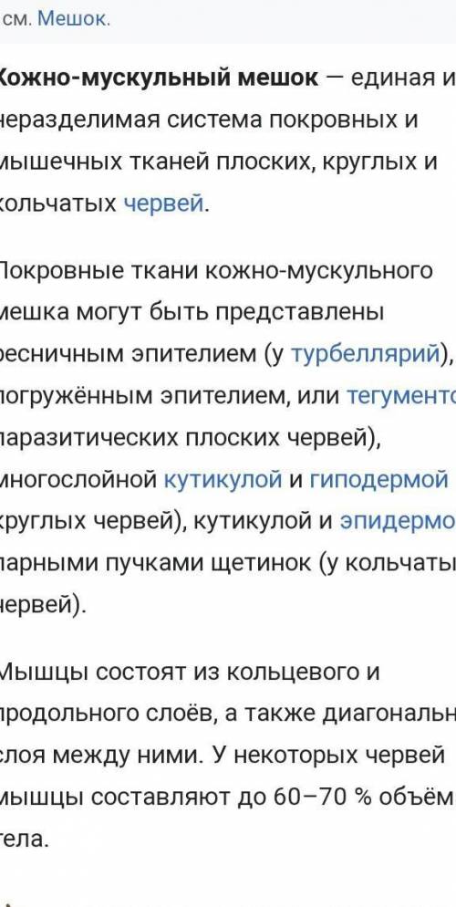 Короткое рассуждение-объяснение, про кожно-мускульный мешок