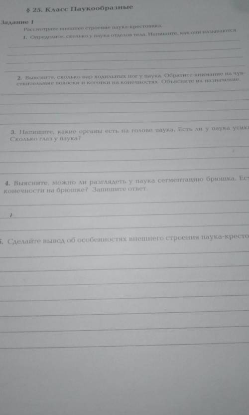 Определите, сколько у паука отделов тело. на решите, как они называются