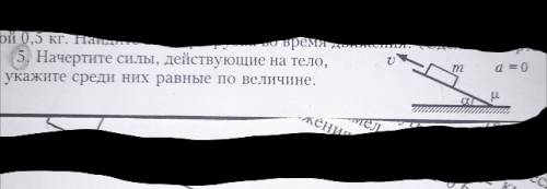 Начертите силы, действующие на тело и укажите среди них равные по величине