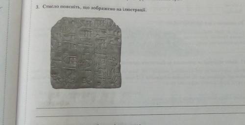 Стисло поясніть що зображено на ілюстрації будь ласка пожіть умаляю