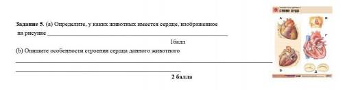 по биологии. только правильно