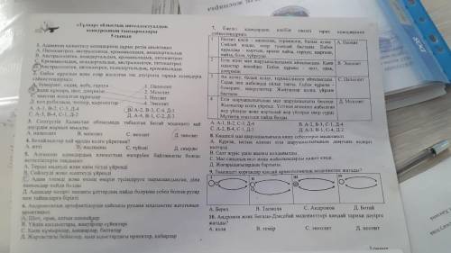 с 7 неоанлалпглкшззнгщпгща