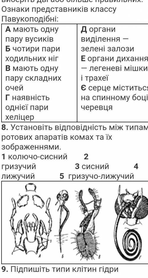 Установіть відповідність між типами ротових апаратів за їх зображенням