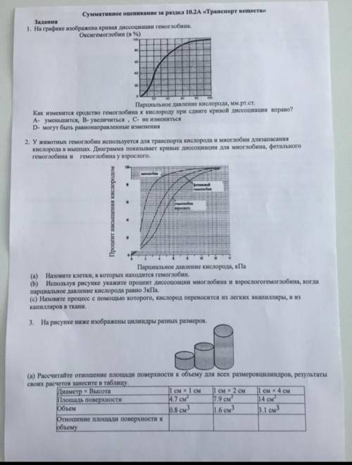 Ставлю макс Ребят нужен в 3 c,d и 4 (все)