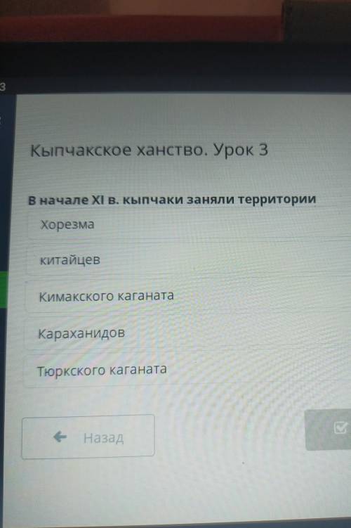 В начале XI в. кыпчаки заняли территории Хорезма Китайцев Кимакского каганата Караханидов Тюркского