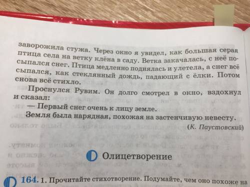 ‼️СР⭕️ЧН⭕️‼️Текст: «Первый снег» Задания: Прочитайте текст «Первый снег», запиши тему текста. Запиши