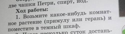 Ход работы: 1. Возьмите какое-нибудь комнат- ное растение (примулу или герань) и поместите в темный