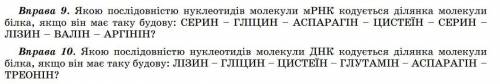 До іть з задачами по біології.